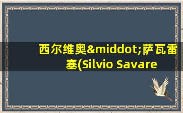 西尔维奥·萨瓦雷塞(Silvio Savarese)教授